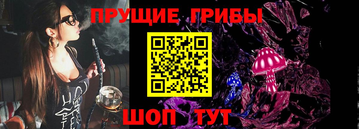 Псилоцибиновые грибы мицелий Димитровград
