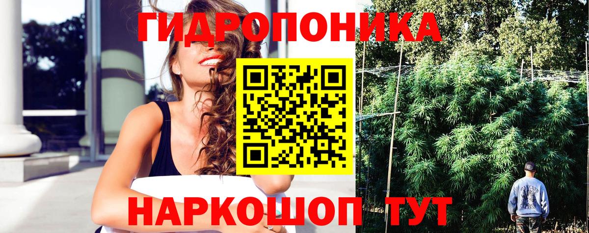МАРИХУАНА MAZAR  Канабис MAZAR  Шишки марихуана ГИДРОПОН  Димитровград  Вход с VPN 